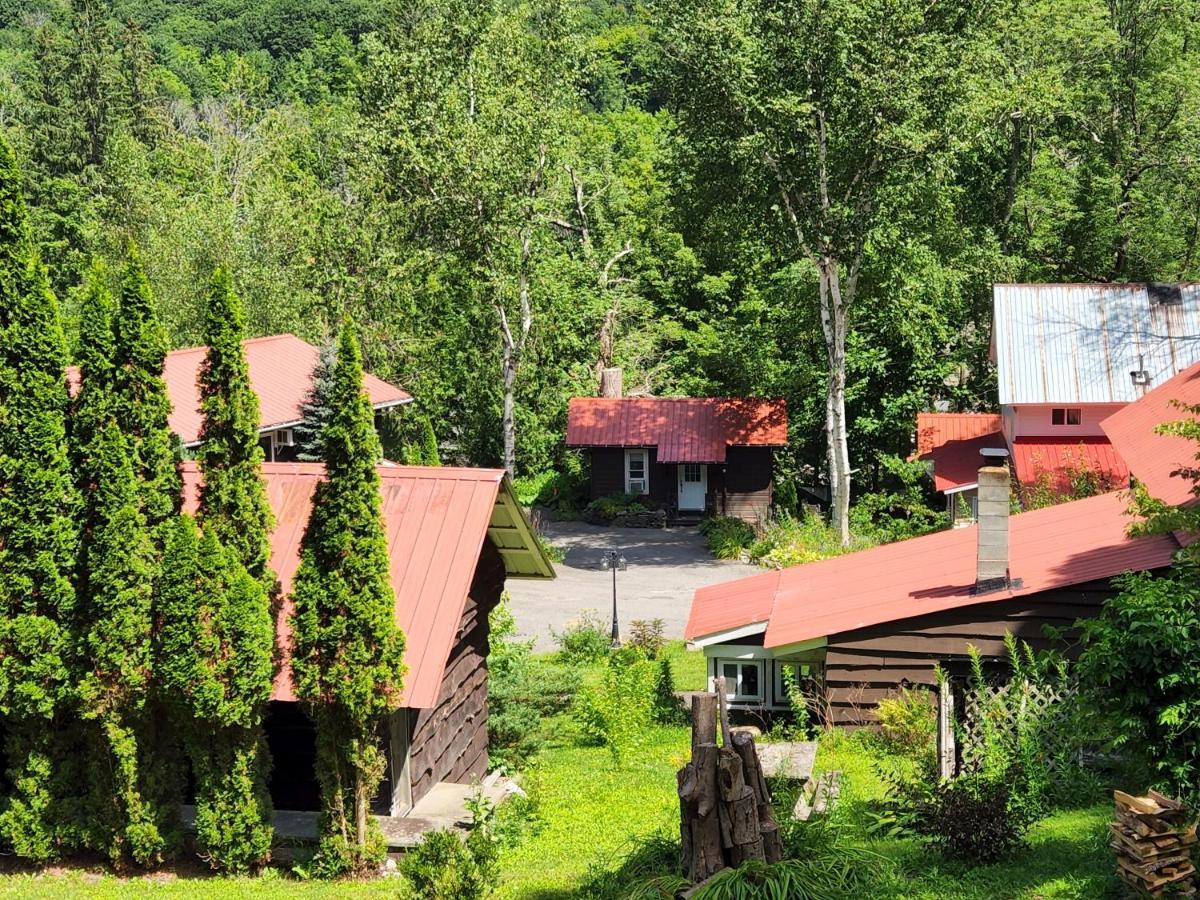 Belleayre Lodge Pine Hill Zewnętrze zdjęcie