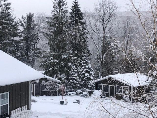 Belleayre Lodge Pine Hill Zewnętrze zdjęcie