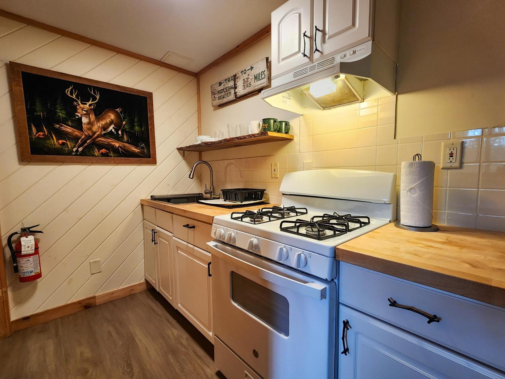 Belleayre Lodge Pine Hill Pokój zdjęcie